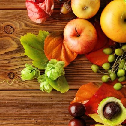 Nông nghiệp thực phẩm